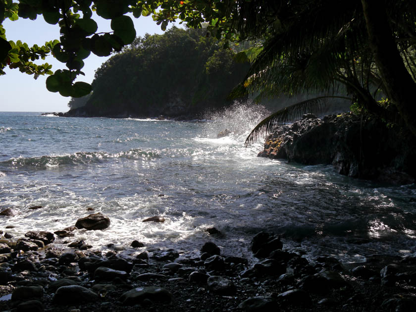 Shoreline Along Onomea Bay Trail