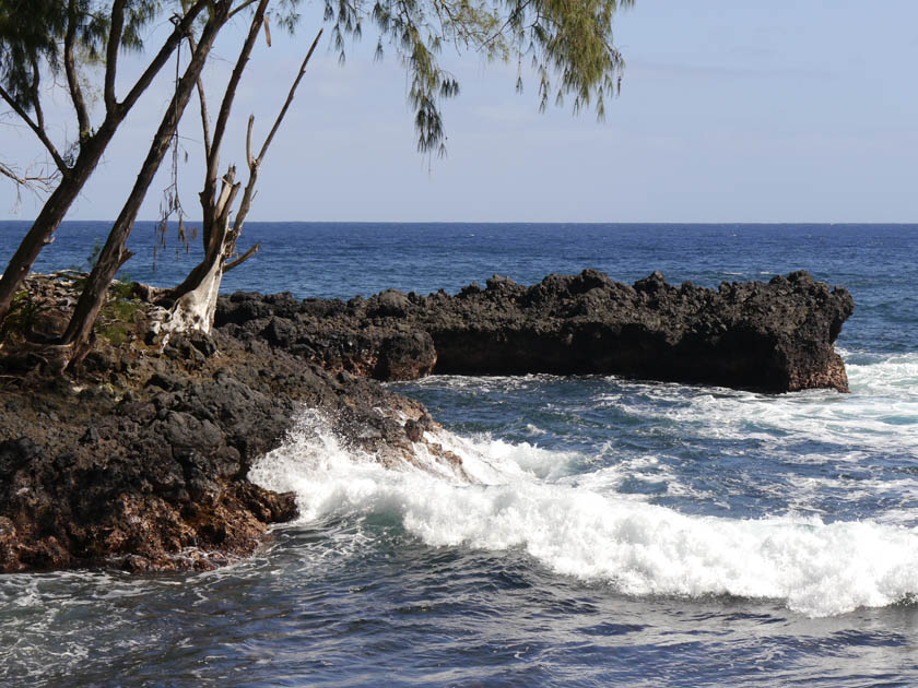 Shoreline Along Onomea Bay Trail