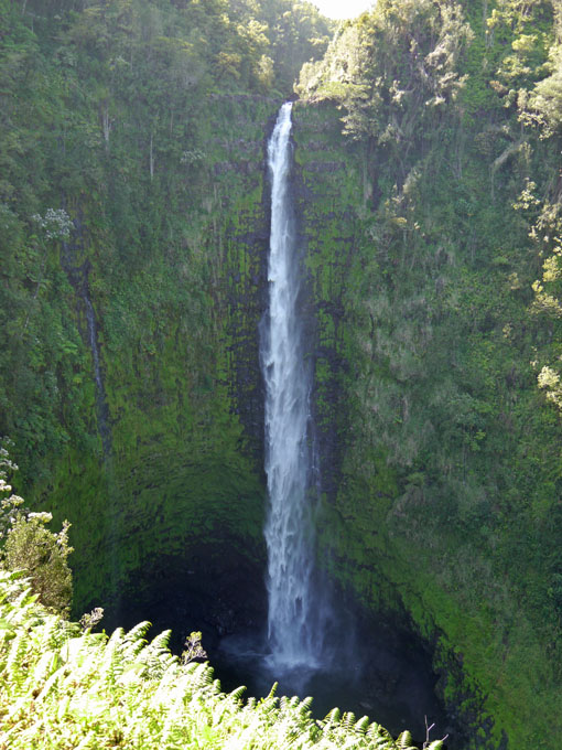 'Akaka Falls, Big Island