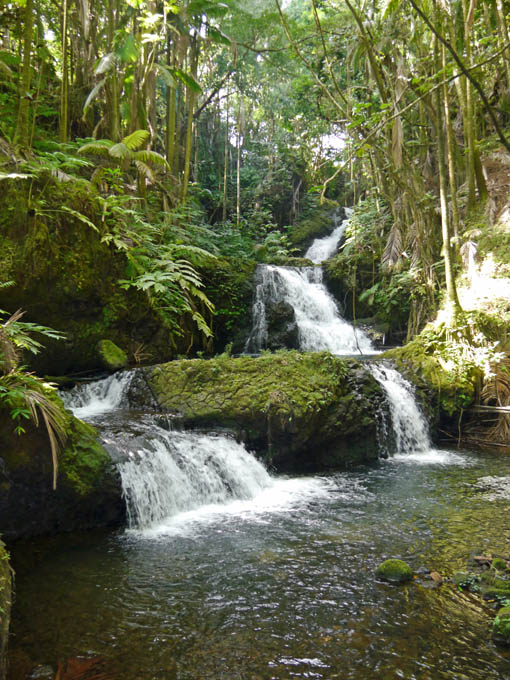 Hawaii Tropical Botanical Garden, Onomea Waterfalls