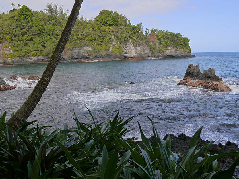 Hawaii Tropical Botanical Garden, Turtle Point