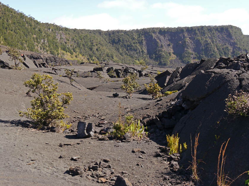 Lava Piles and Fissures in Kilauea Iki Crater