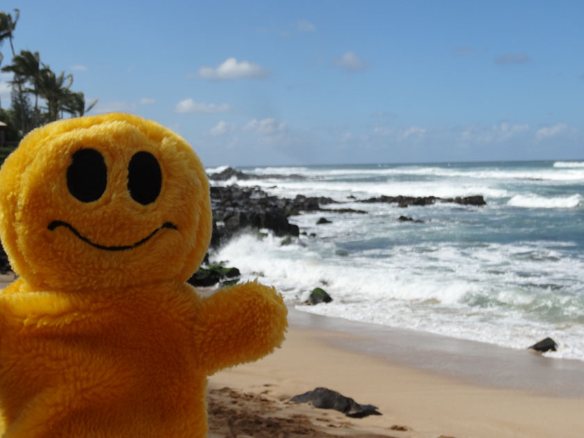 Mr. Happy at the Banzai Pipeline