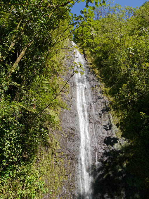 Manoa Falls, Oahu