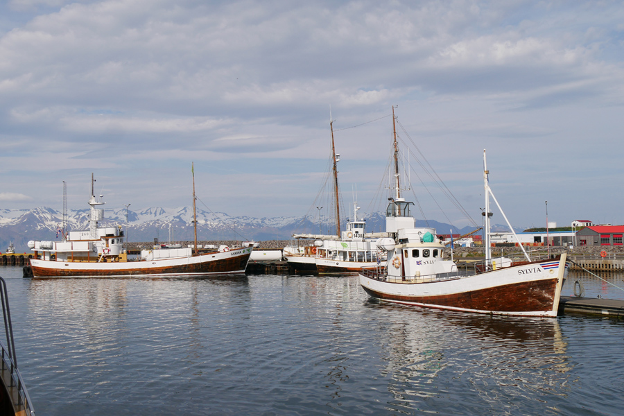 Harbor in Husavik