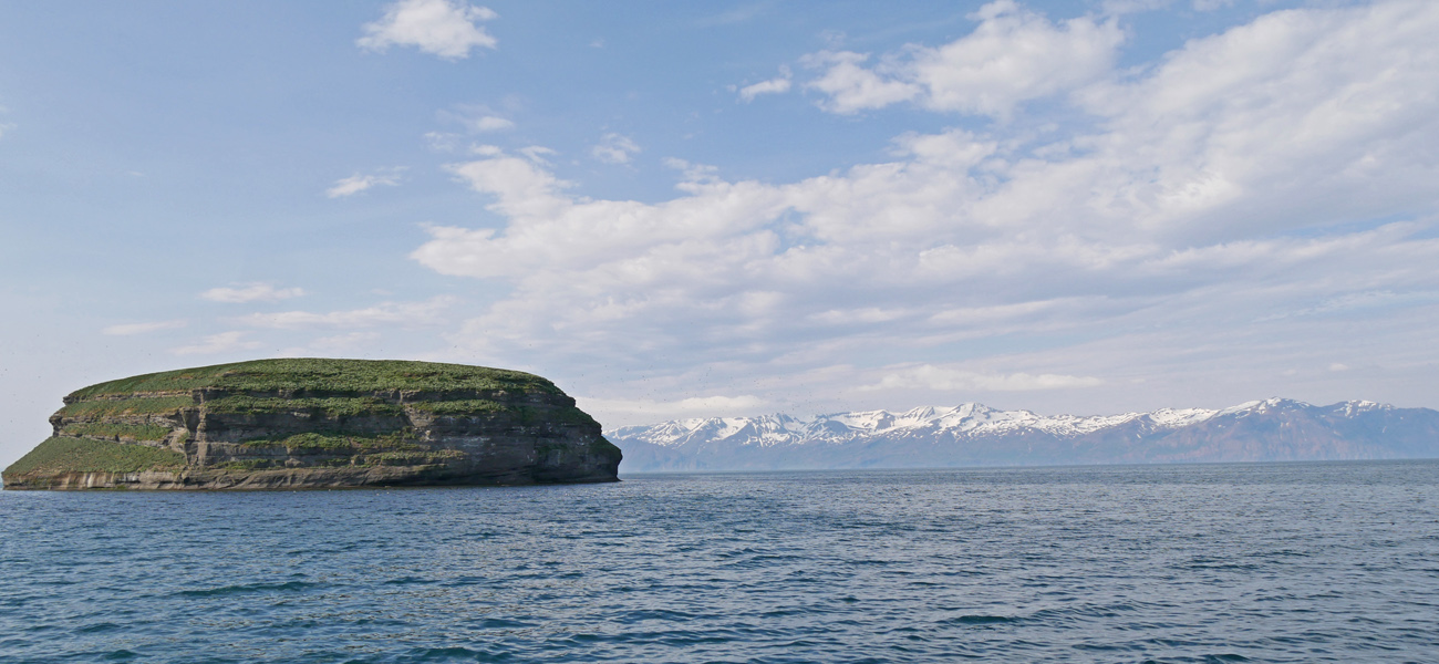 Puffin Island