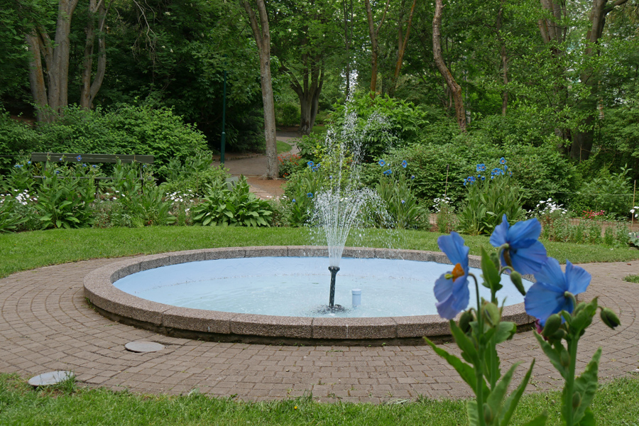 Akureyri Botanical Garden - Fountain