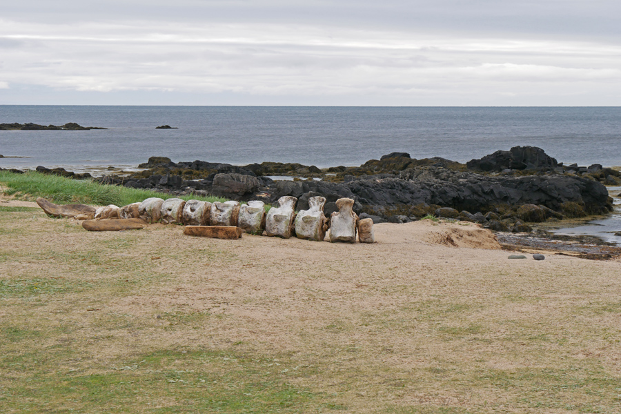 Whale Bones on Ytri-Tunga Beach