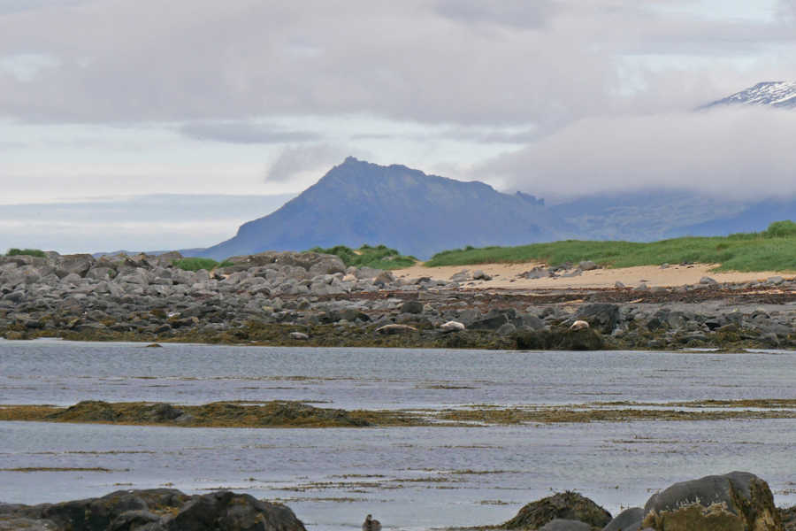 Ytri-Tunga Beach