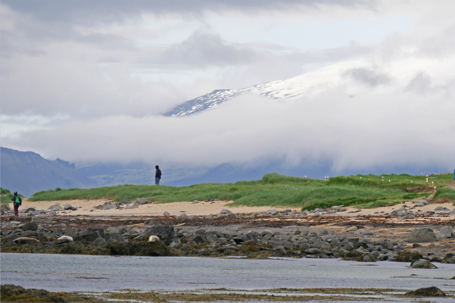 Ytri-Tunga Beach with Snæfellsnes Volcano