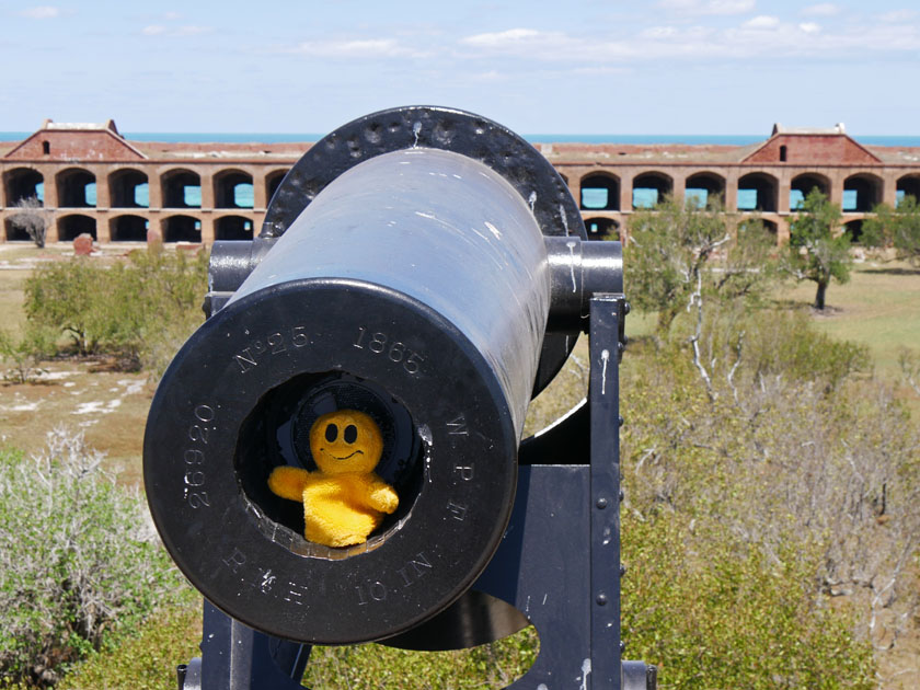 Mr. Happy in Fort Jefferson Cannon, Dry Tortugas NP