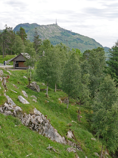 Scene on Trail Down Mount Fløyen