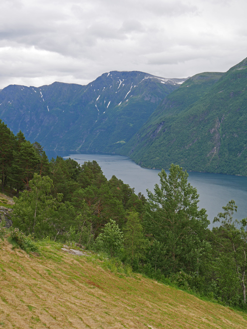 Geirangerfjord Scenery on Coach Tour