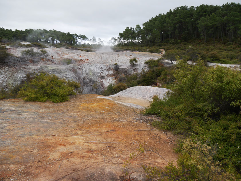 Wai-O-Tapu Geothermal Area