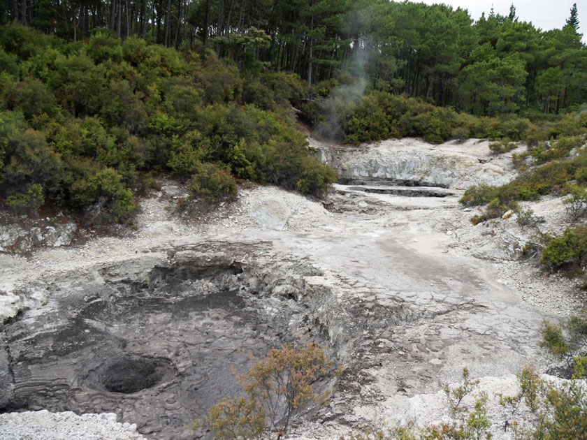 Wai-O-Tapu Geothermal Area