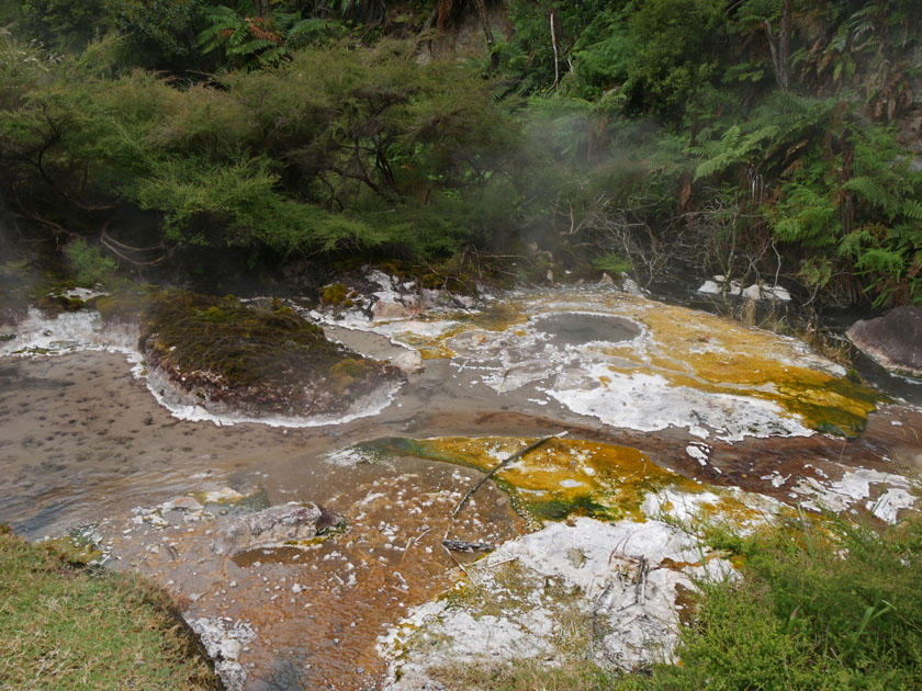 Waimangu Volcanic Valley