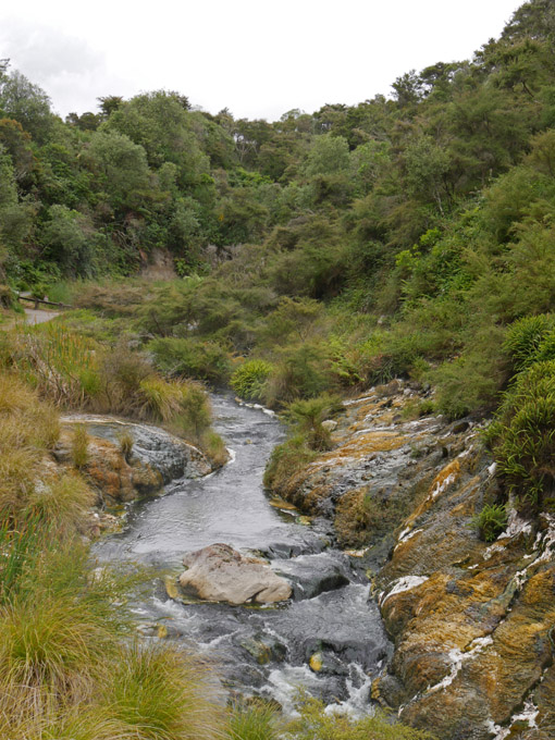 Waimangu Stream