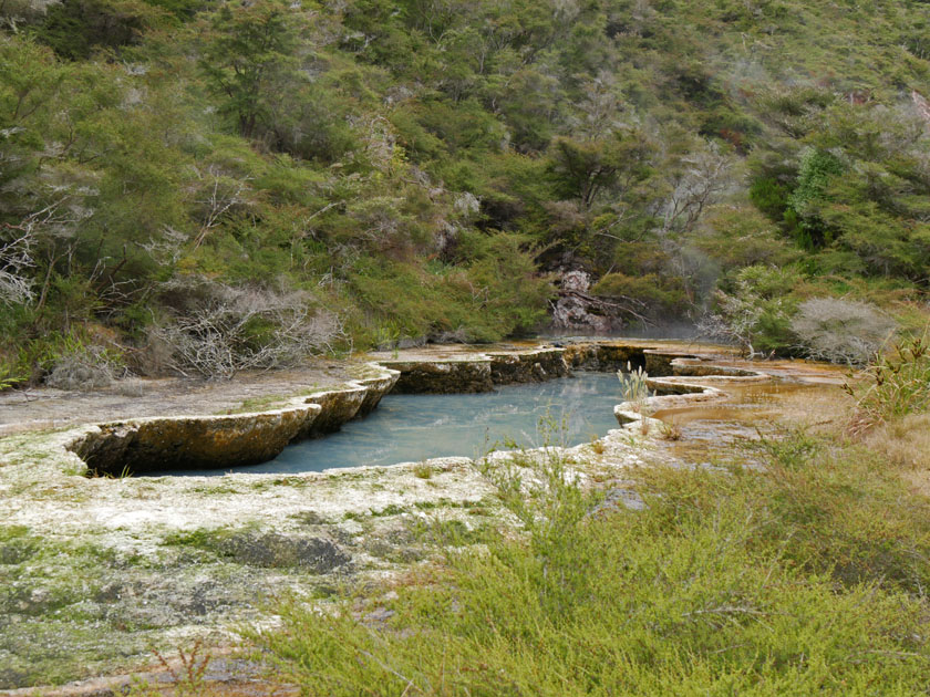 Mineral Pool, Waimangu