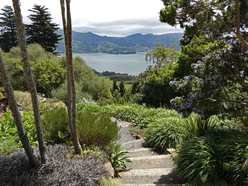 View from Larnach Castle Gardens