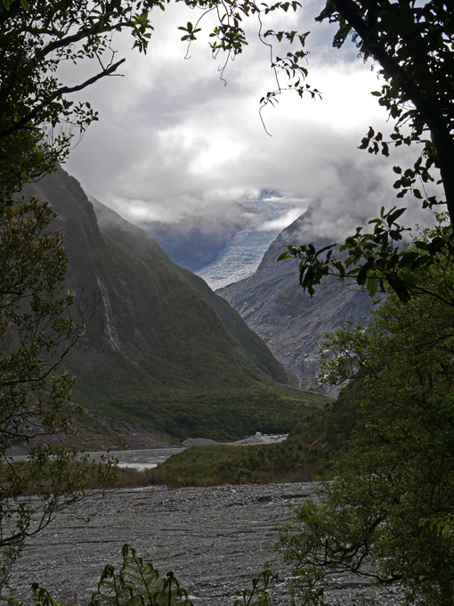 Fox Glacier from Overlook Trail