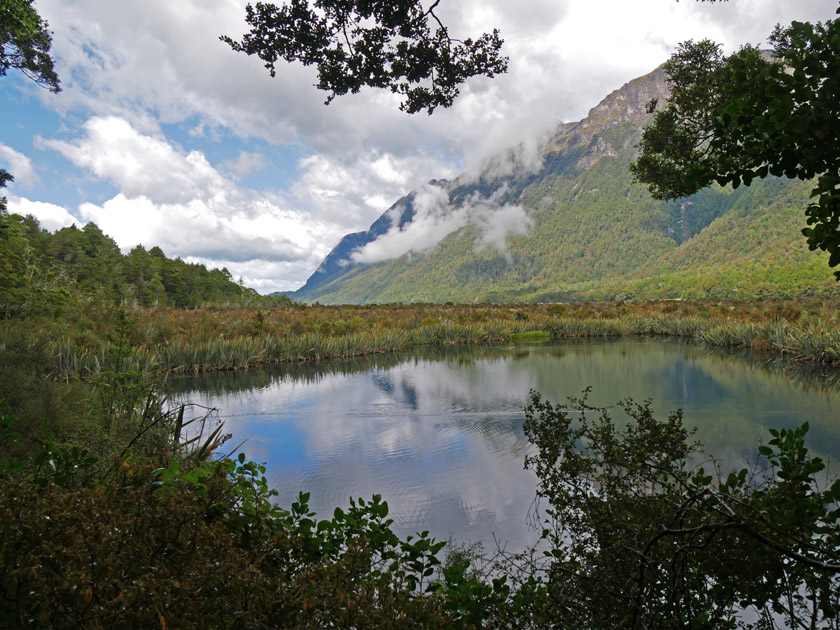 Scenic Stop on Road to Milford Sound