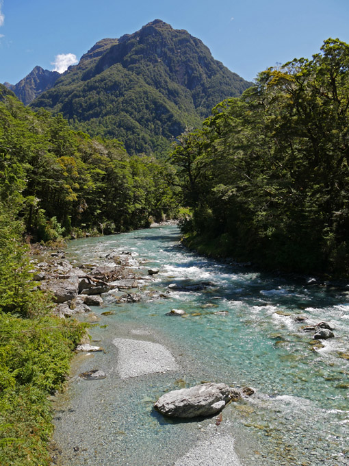 View Along Routeburn Track