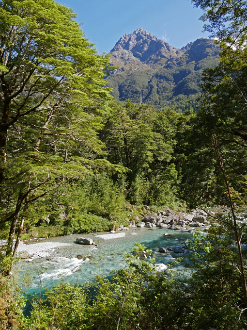 View from Routeburn Track Trailhead