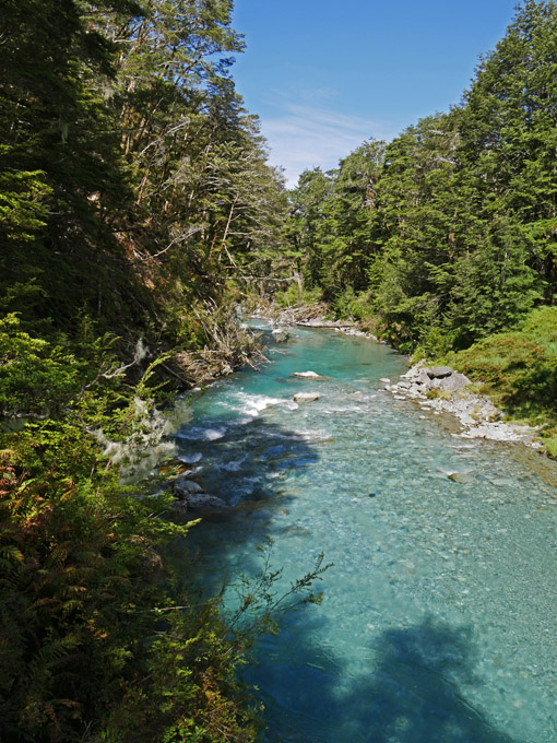 View from Routeburn Track Trailhead