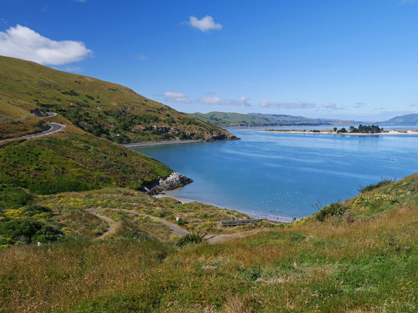 View from RoyalAlbatross Center, Otago Peninsula