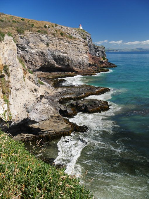 View from RoyalAlbatross Center, Otago Peninsula