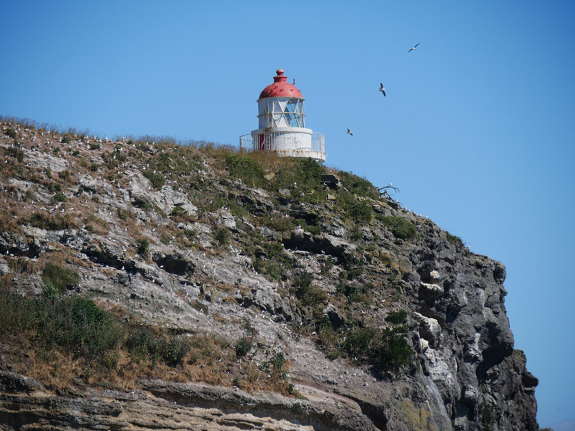 View from RoyalAlbatross Center, Otago Peninsula