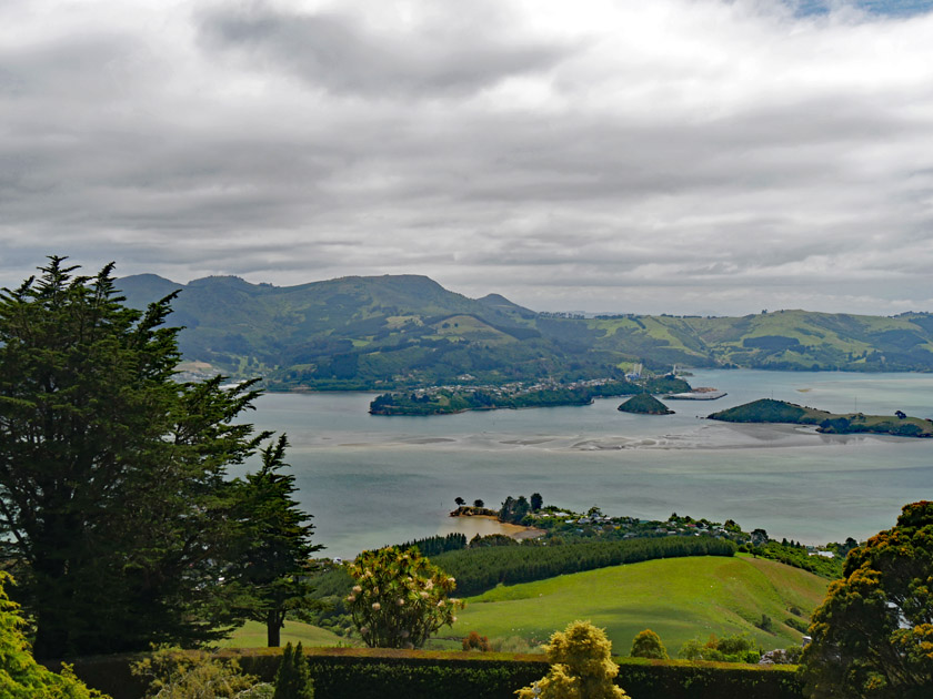 View from Larnach Castle Tower