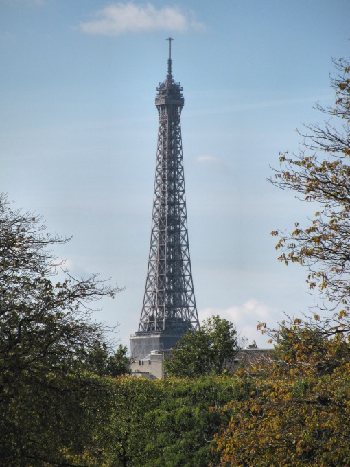 Tour Eiffel from Jardins des Tuileries