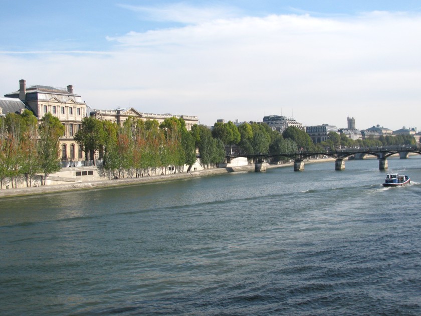 Ile de la Cité from the Left Bank of the Seine