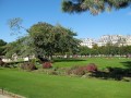 Jardins des Tuileries Scene