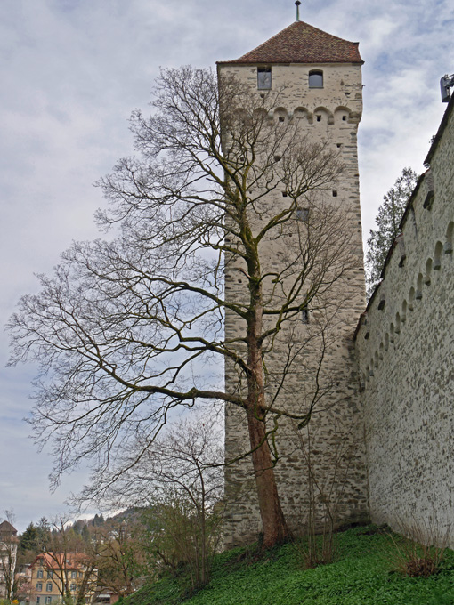 The Dächli Tower