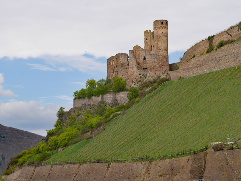 Ehrenfels Castle Ruin