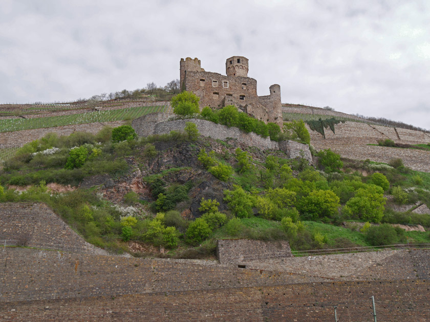 Ehrenfels Castle Ruin