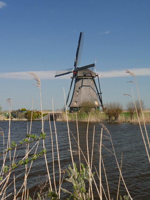 Kinderdijk Windmill