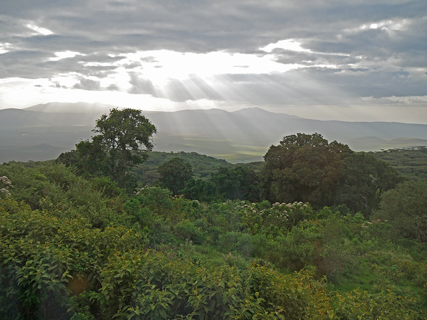 Ngorongoro Crater View from Lodge