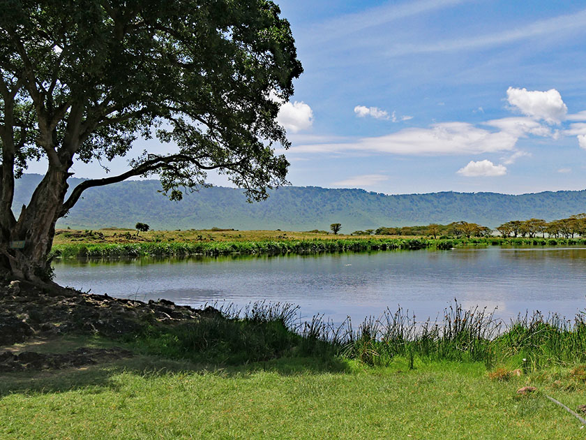 Ngorongoro CA Picnic Spot