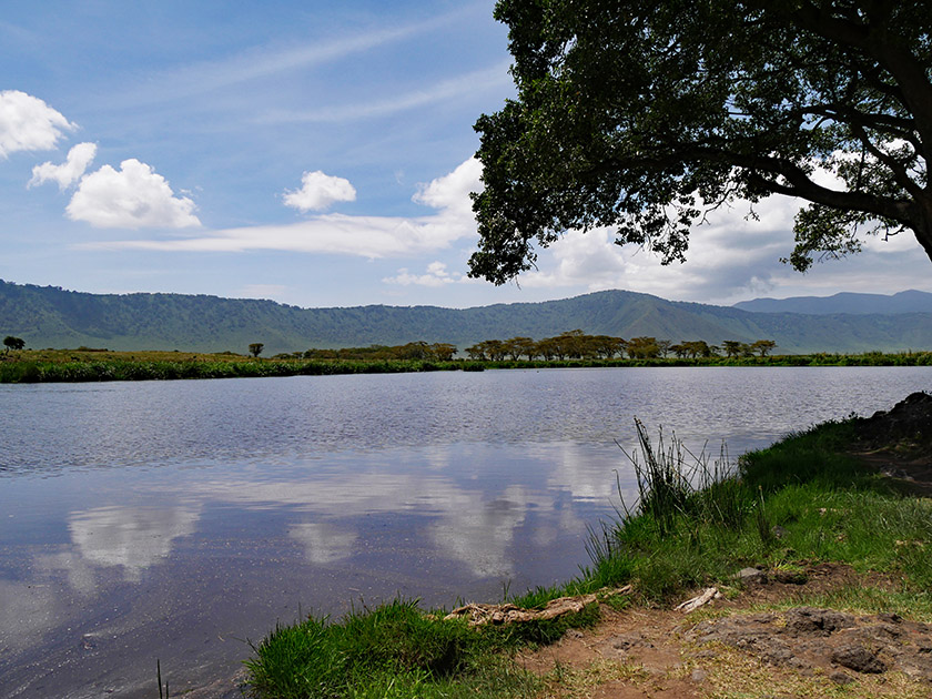 Ngorongoro CA Picnic Spot Scene