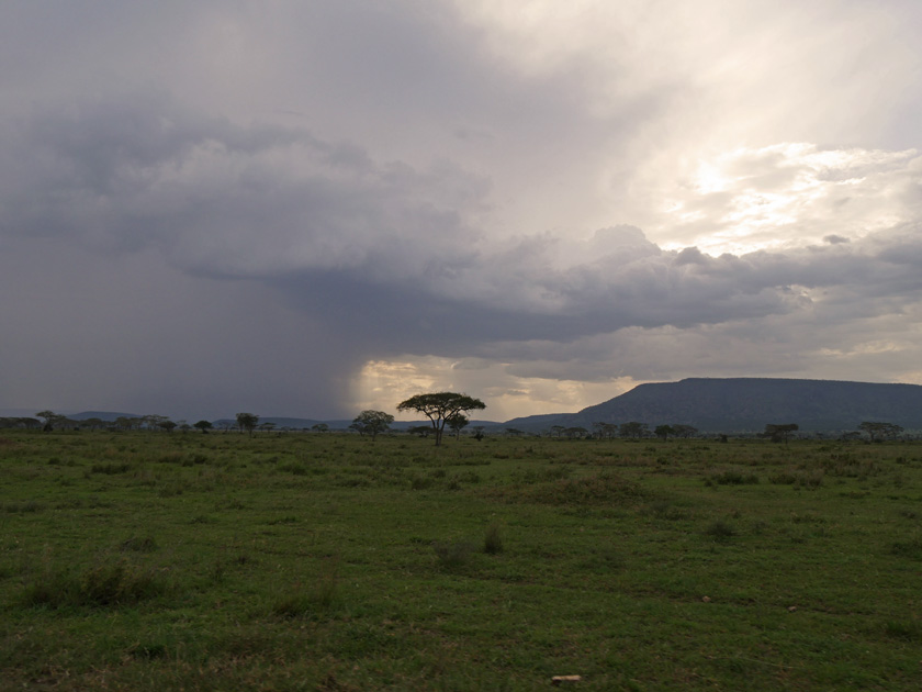 Thunderstorm Over Serengeti National Park