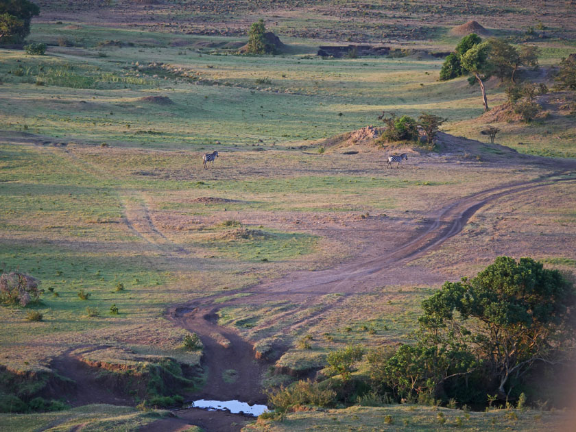 Maasai Mara Scenery from Hot Air Balloon