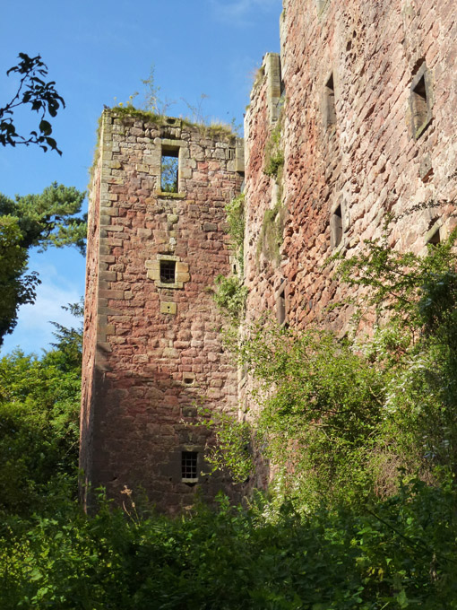 Roslin Castle Ruins (Looking Up)