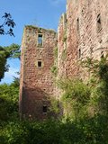 Roslin Castle Ruins (Looking Up)