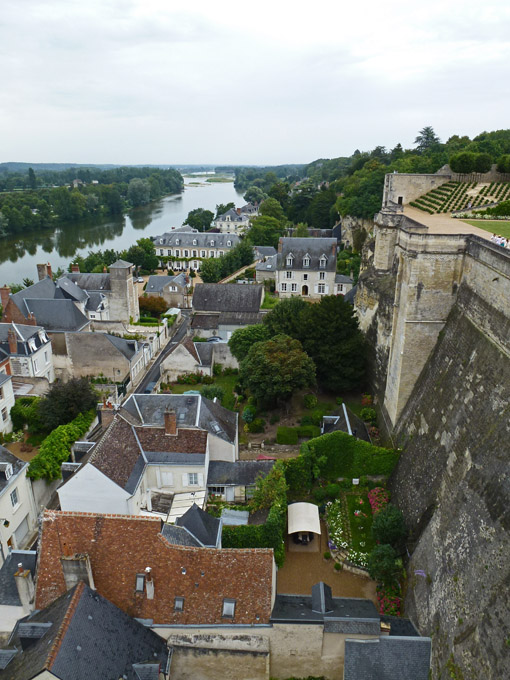 Town of Amboise from the Château