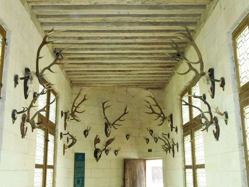 Château de Chambord, Hunting Trophy Room