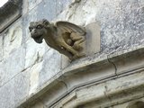 Gargoyle, Château d'Amboise