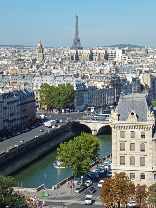 Eiffel Tower from the Top ofCathédrale Notre-Dame